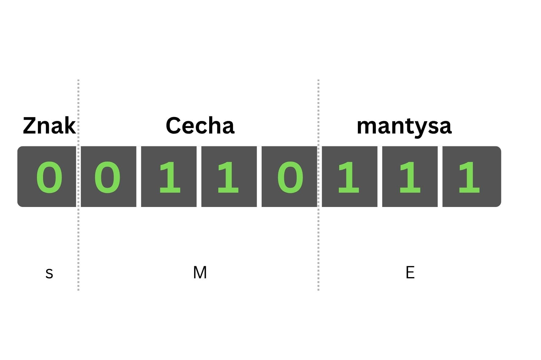 Układ bitów i ich znaczenie w liczbach zmiennoprzecinkowych