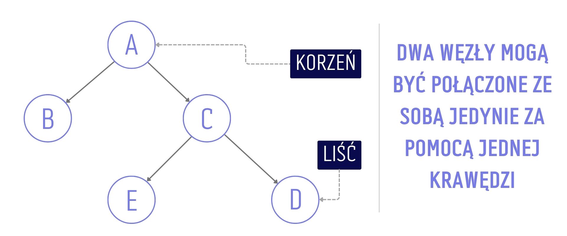 Graficzna reprezentacja drzewa